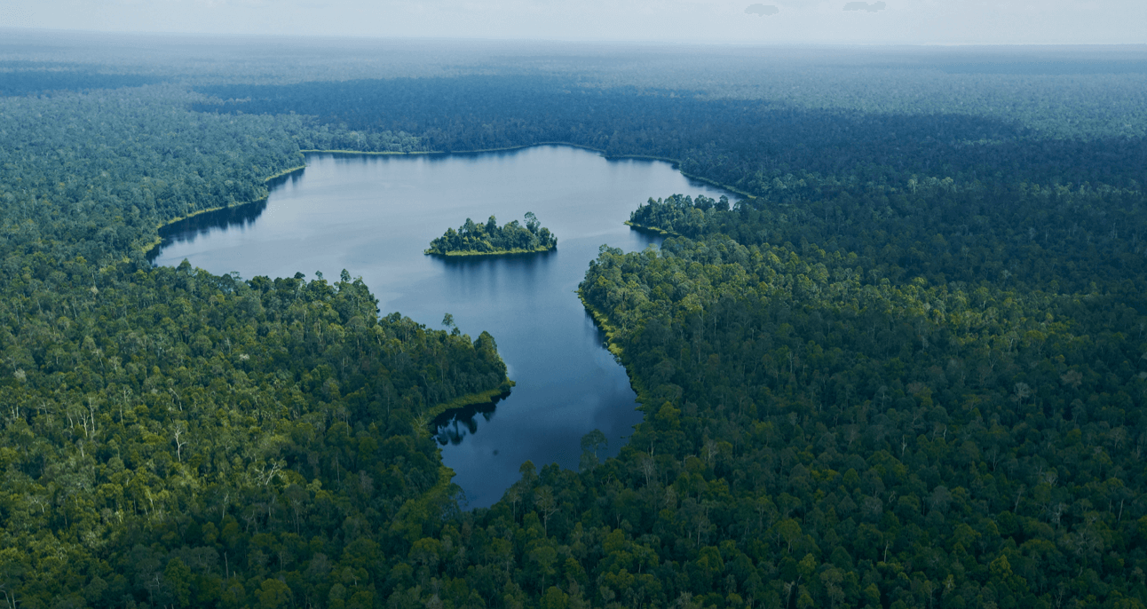 Riau Ecosystem Restoration